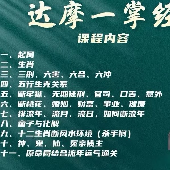 张敬平达摩一掌经视频课12集