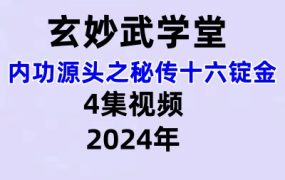 玄妙武学堂 内功源头之秘传十六锭金视频4集