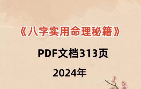 《八字实用命理秘籍》313页 电子版