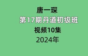 唐一琛楚恒第17期丹道初级班视频10集