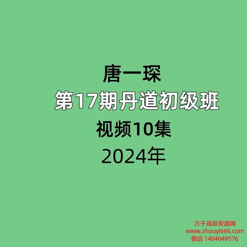 唐一琛楚恒第17期丹道初级班视频10集
