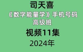 司天喜数字能量学手机号码高级班视频11集