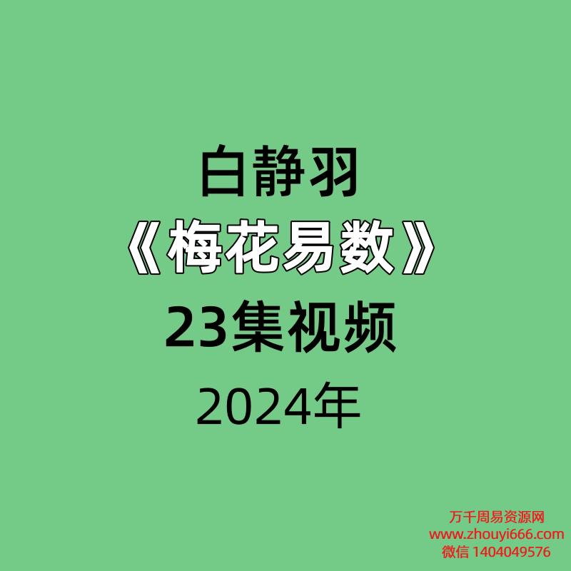 白静羽《梅花易数》23集视频