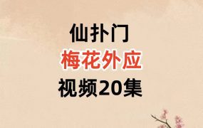 仙扑门梅花外应视频20集