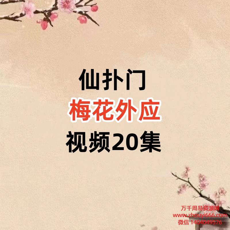 仙扑门梅花外应视频20集