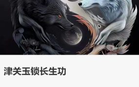 三三道长道家津关玉锁长‬生功，6讲视频