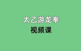 太乙游龙拳，视频课