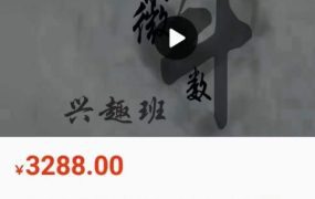 三问先生《紫微斗数兴趣班》视频48集