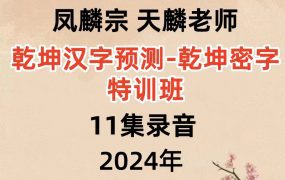 凤麟宗 天麟老师～乾坤汉字预测-乾坤密字特训班11集录音