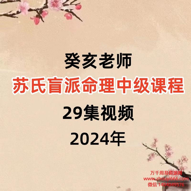癸亥老师苏氏盲派命理中级课程29集视频