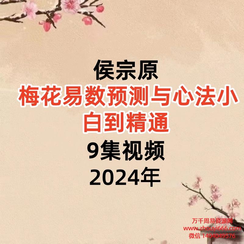 侯宗原 梅花易数预测与心法小白到精通9集视频