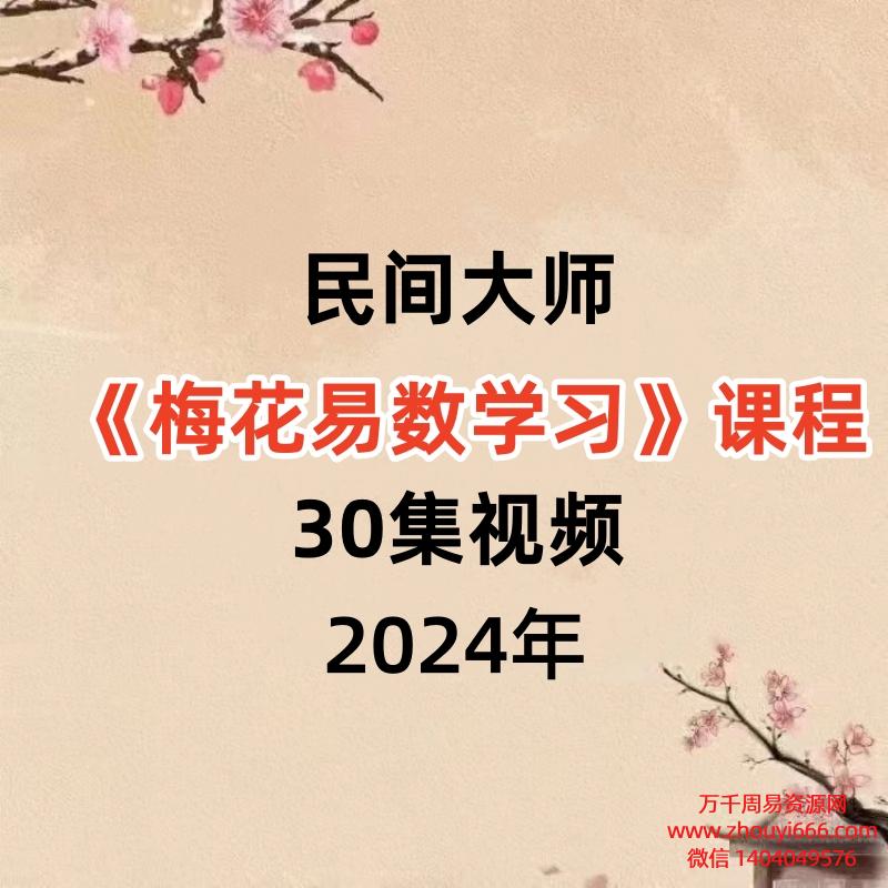 民间大师《梅花易数学习》课程30集视频