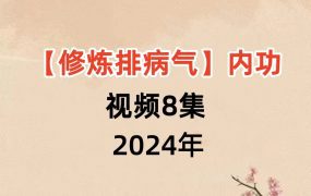 修炼排病内功打卡-3 排病气 8集视频