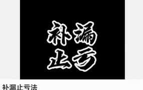补漏止亏法 8集视频