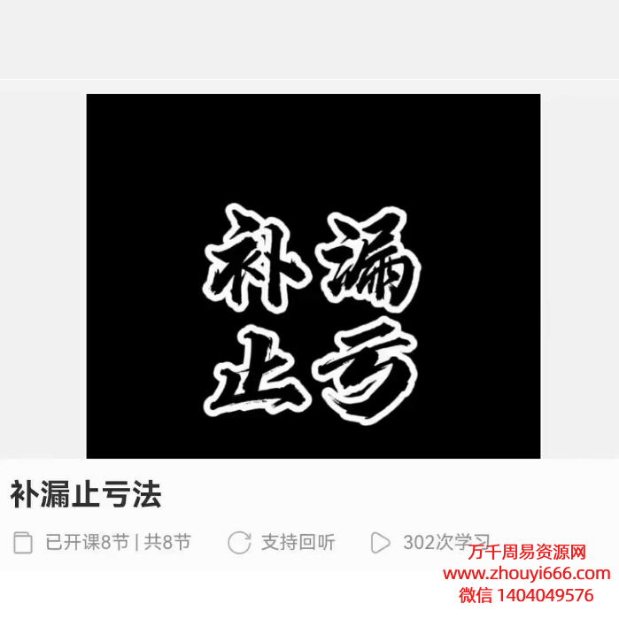 补漏止亏法 8集视频