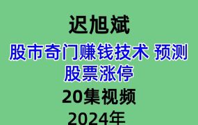 迟旭斌股市奇门赚钱术预测股票涨停20集视频