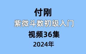 付刚老师，紫微斗数初级入门，视频36集