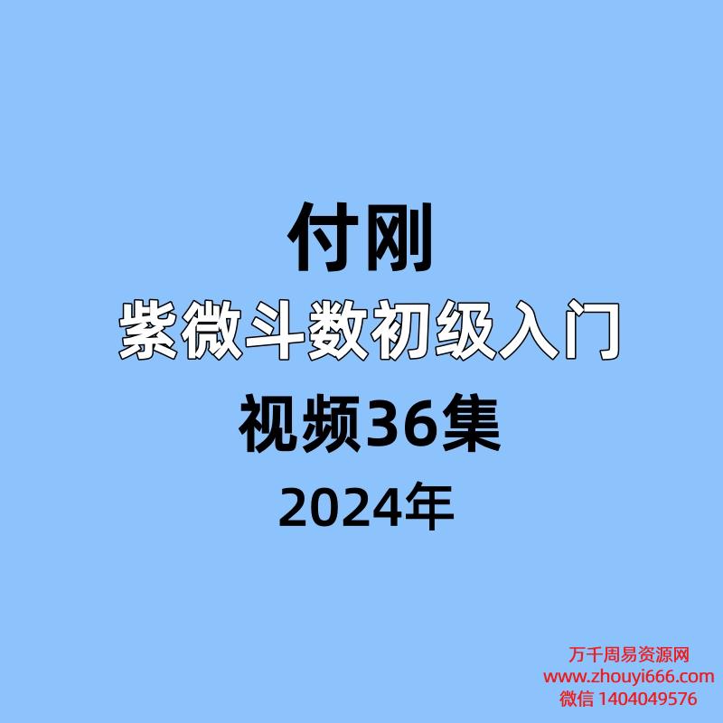付刚老师,紫微斗数初级入门,视频36集