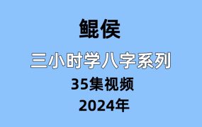 鲲侯，三小时学八字系列，35集视频