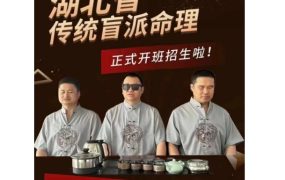 湖北省侯师傅盲派串宫压运46集视频