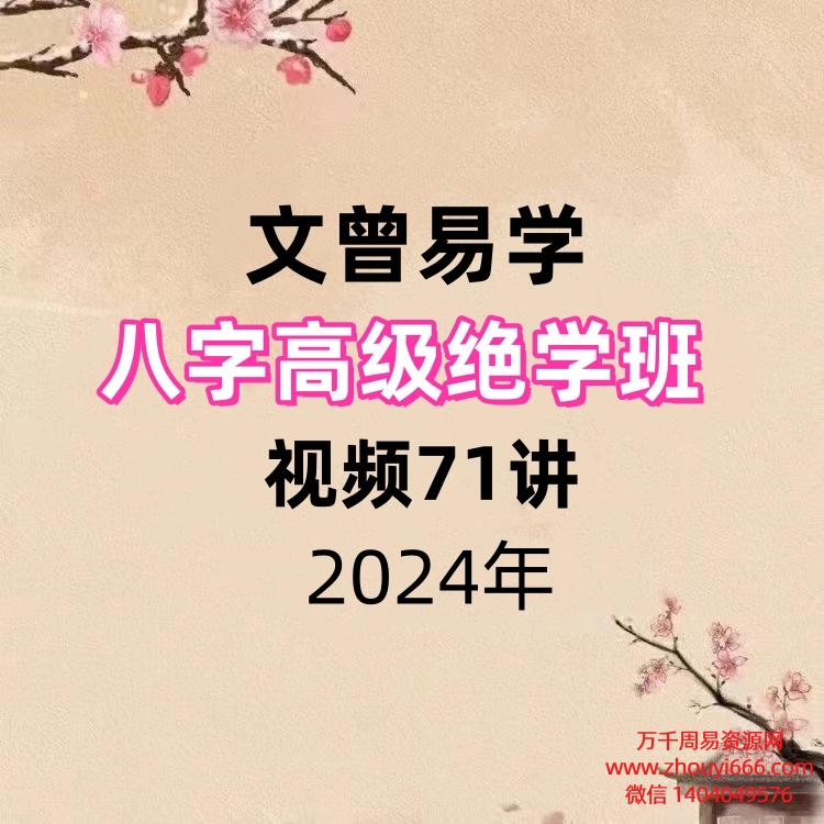 文曾易学八字高级绝学班 视频71讲