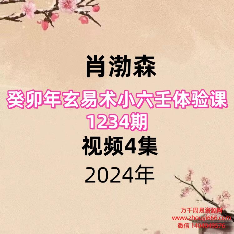 肖渤森,癸卯年玄易术小六壬体验课1234期,视频4集