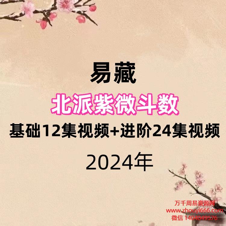 易藏北派紫微斗数，基础12集视频+进阶24集视频