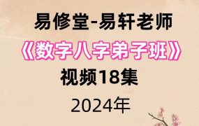 易轩老师《数字八字弟子班》视频18集