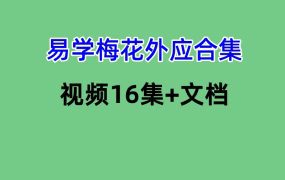 易学梅花外应合集视频16集+文档