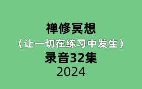 禅修冥想（让一切在练习中发生）32集录音