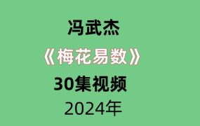 冯武杰梅花易数30集视频