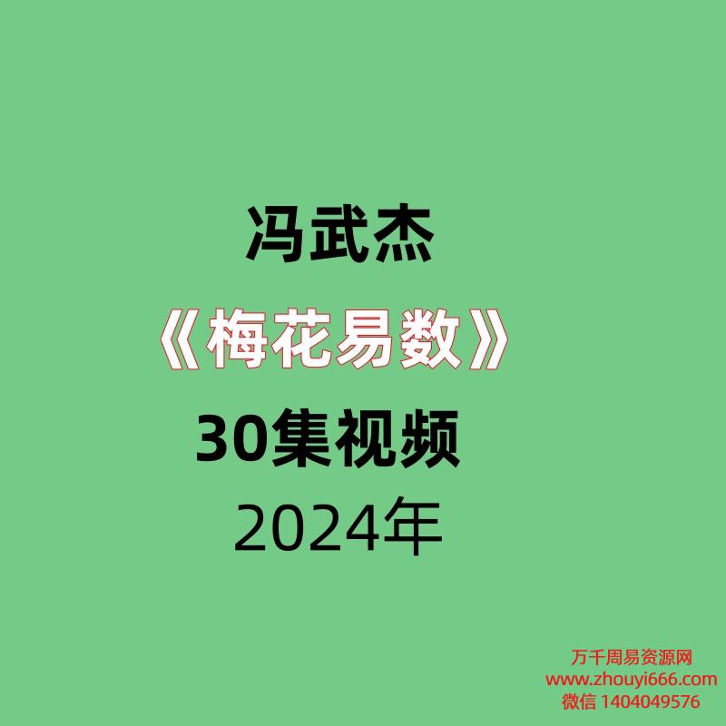 冯武杰梅花易数30集视频