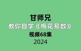甘师兄教你自学梅花易数视频68集