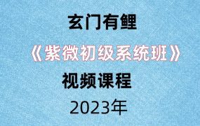 玄门有鲤23年紫微初级系统班视频39集
