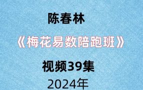 陈春林《梅花易数陪跑班》视频39集