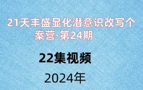 21天丰盛显化潜意识改写个案营·第24期 ，22集视频