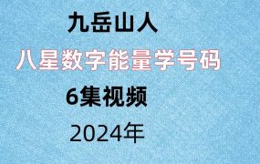 九岳山人八星数字能量学号码6集视频