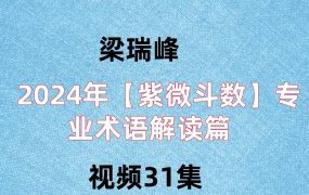 梁瑞峰2024年【紫微斗数】专业术语解读篇，视频31集