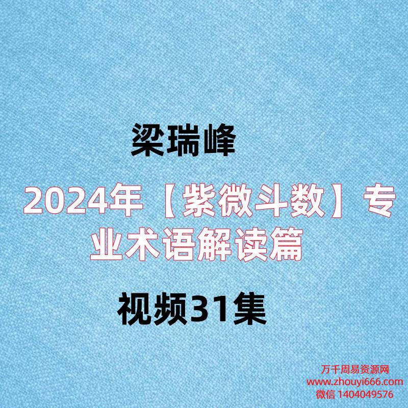 梁瑞峰2024年【紫微斗数】专业术语解读篇，视频31集