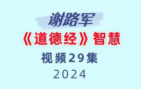 谢路军《道德经》智慧29集视频