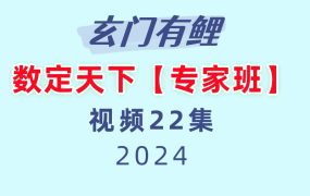 数定天下【专家班】22集视频