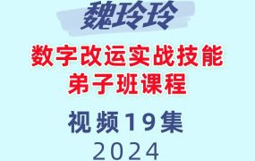 魏玲玲数字改运实战技能弟子班课程19集