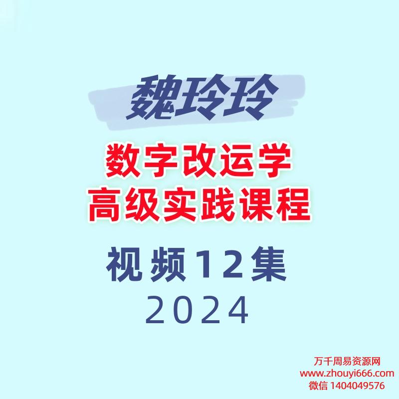 魏玲玲数字改运学 高级实践课程12集视频