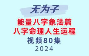 无为子能量八字象法篇_八字命理人生运程80集视频