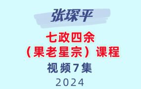 张琛平七政四余（果老星宗）课程视频7集