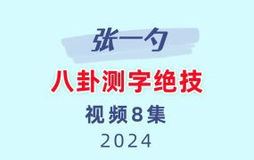 张一勺八卦测字绝技视频8集