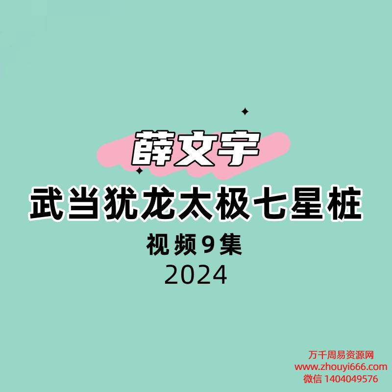 武当犹龙太极七星桩9集视频