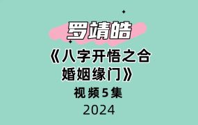 夏光明弟子罗靖皓《八字开悟之合婚姻缘门》视频5集