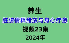 脏腑情释绪放与身心疗愈视频23集