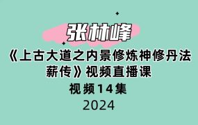 张林峰《上古大道之内景修炼神修丹法薪传》视频直播课 14集